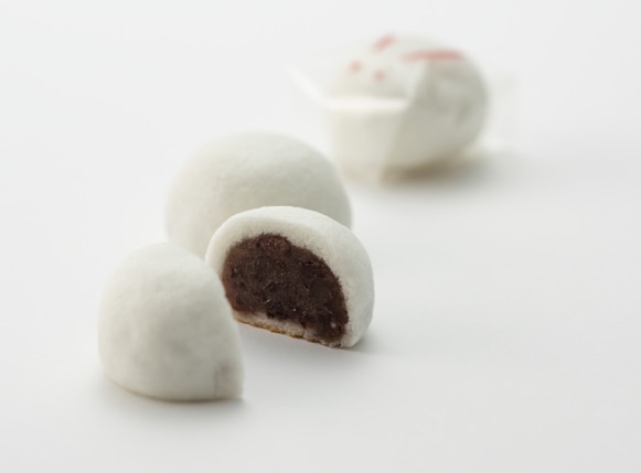 宮崎のつきいれ餅の金城堂