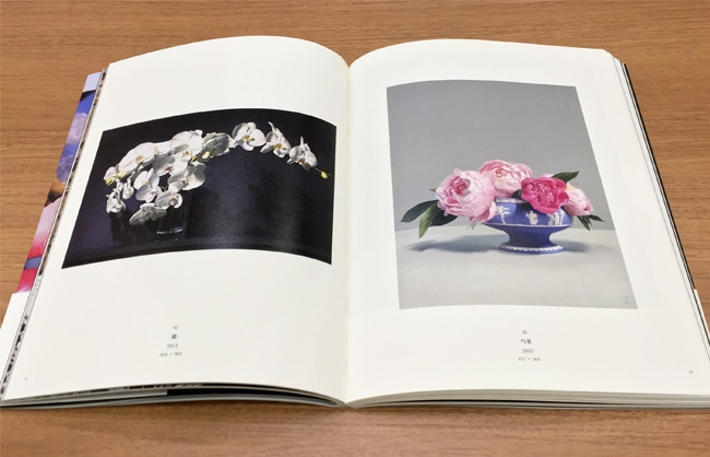 ☆限定サイン本 五味文彦画集 瞳の中の触覚｜求龍堂