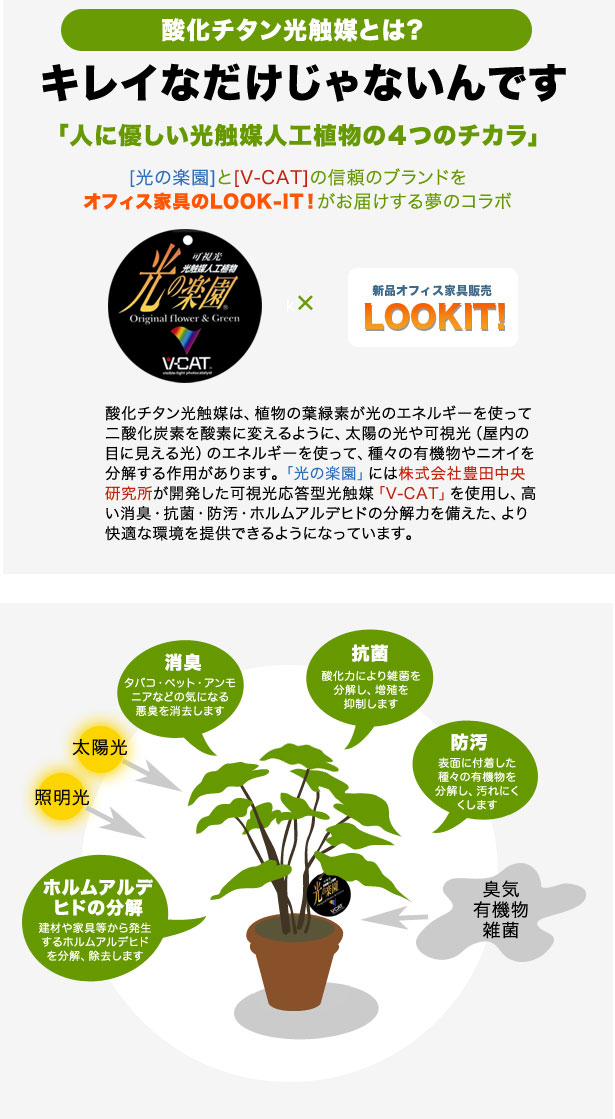 黒竹 観葉植物 造花 鉢植え プラント EE4101-240（商品番号：wee4101