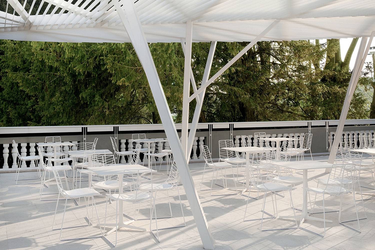 リーフ スタッキングチェアの通販 | 家具・インテリア通販 MAARKET