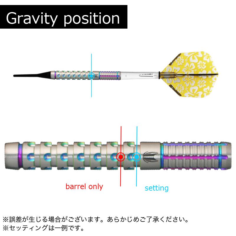 Target】WAYNE MARDEL G2 ターゲット ソフトダーツ バレル ウェイン