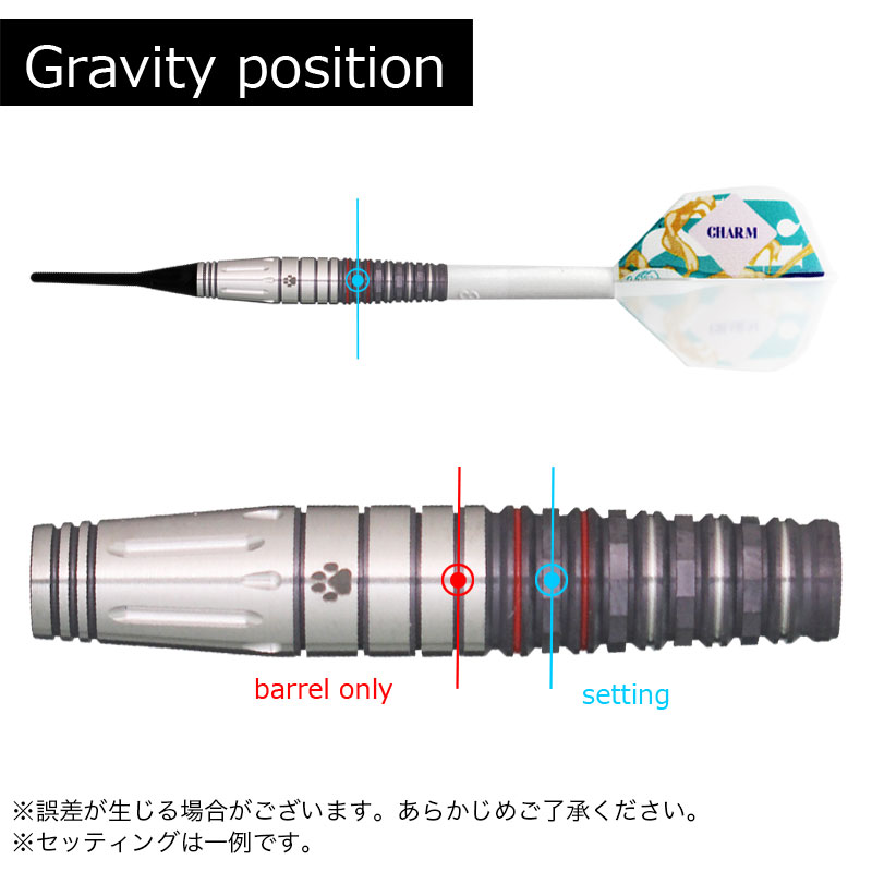 ターゲット チャーム カノン 2.0 Target CHARM KANON 2.0 ダーツ