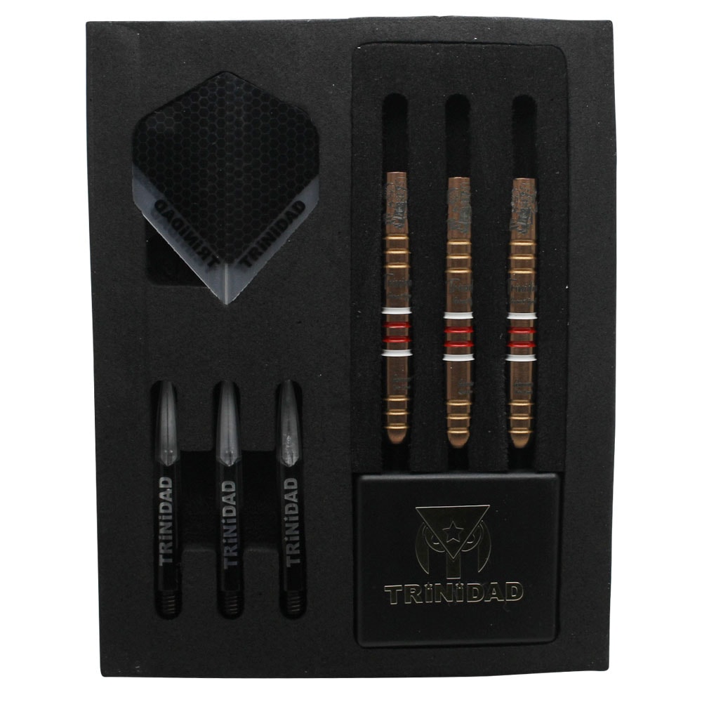 トリニダード ゴメス11 初回限定 スティール 山田勇樹 TRiNiDAD Gomez