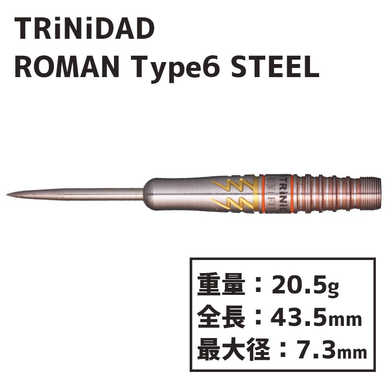 トリニダード ローマン6 スティール TRiNiDAD ROMAN TYPE6 STEEL 宮脇