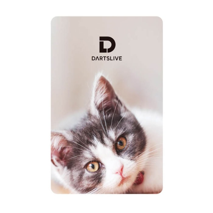 ダーツライブ カード 57-6 dartslive game card 57-6 | アクセサリー