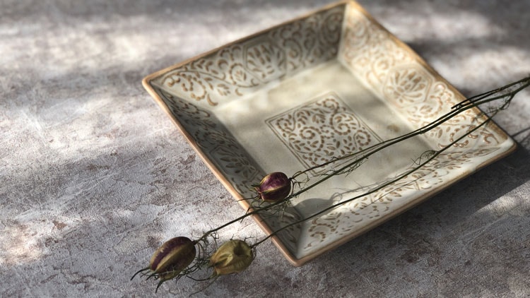 minosarara Plus+｜みのさららプラス