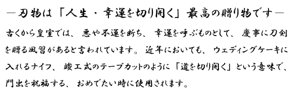 出刃包丁21cm 雪藤 中霞・玉白鋼 水牛柄 210mm | 包丁,包丁の