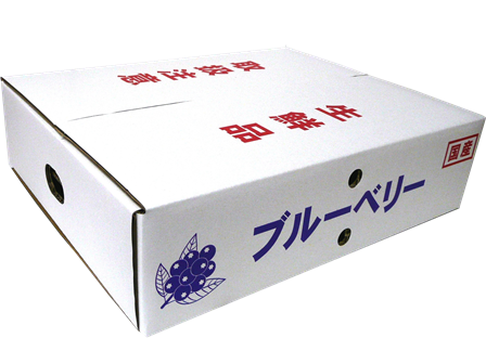 ブルーベリー化粧箱125gPx12個 ブルーベリー資材の通販｜オーシャン貿易