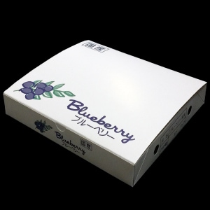 ブルーベリー化粧箱125gPx4個 ブルーベリー資材の通販｜オーシャン貿易