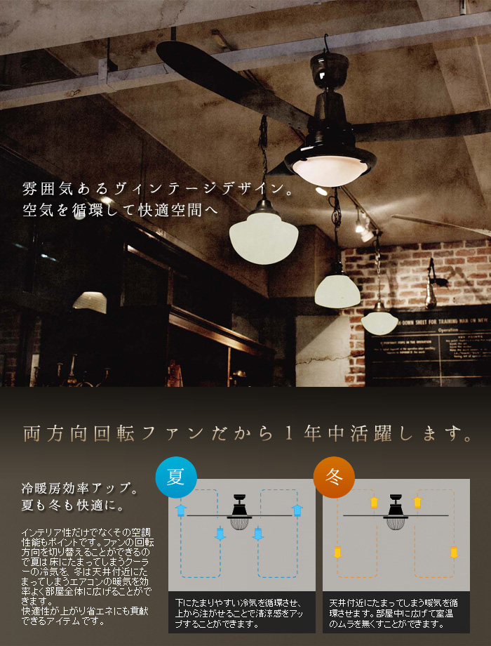 ハモサ トライランダー HERMOSA TRISLANDER 2灯 | 新着 | plywood