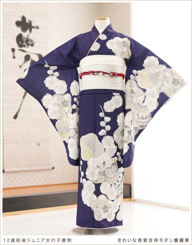 13歳女の子着物レンタル、ジュニア振袖（十三参りや二分の一成人式