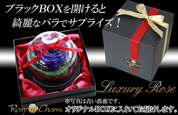 ガラスドーム ハート｜ レインボーローズ プリザーブドフラワー｜1輪の