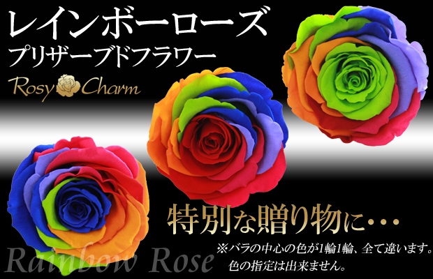 ガラスドーム ハート｜ レインボーローズ プリザーブドフラワー｜1輪の