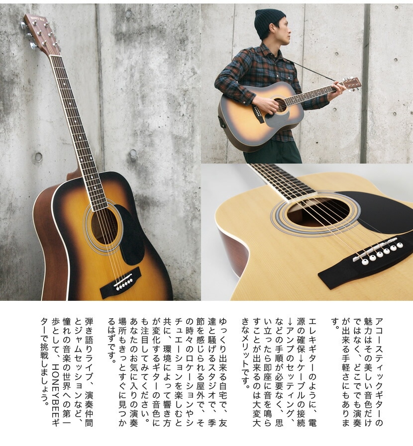 エレアコ HONEY BEE F-16E エレアコリミテッドセット【エレキ