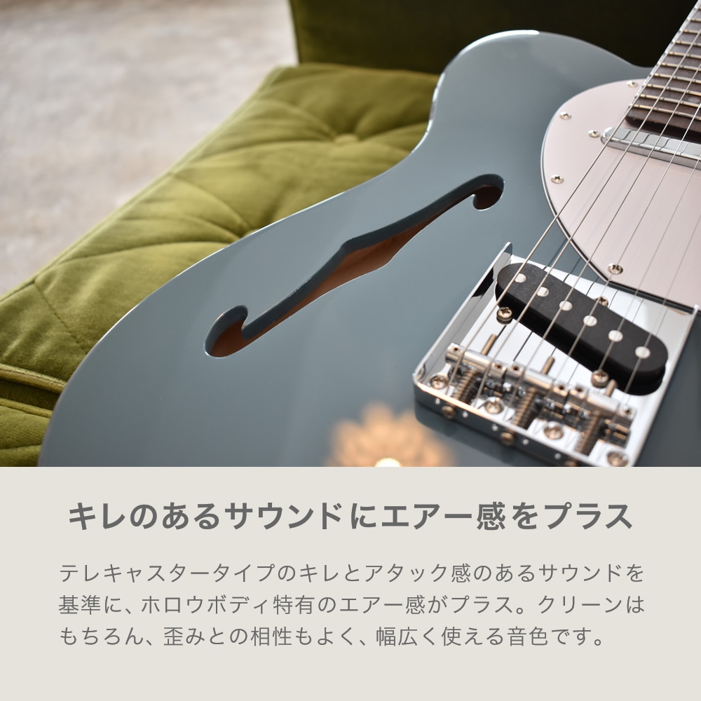 テレキャスターシンラインタイプ エレキギター SELDER TLT-20 13点