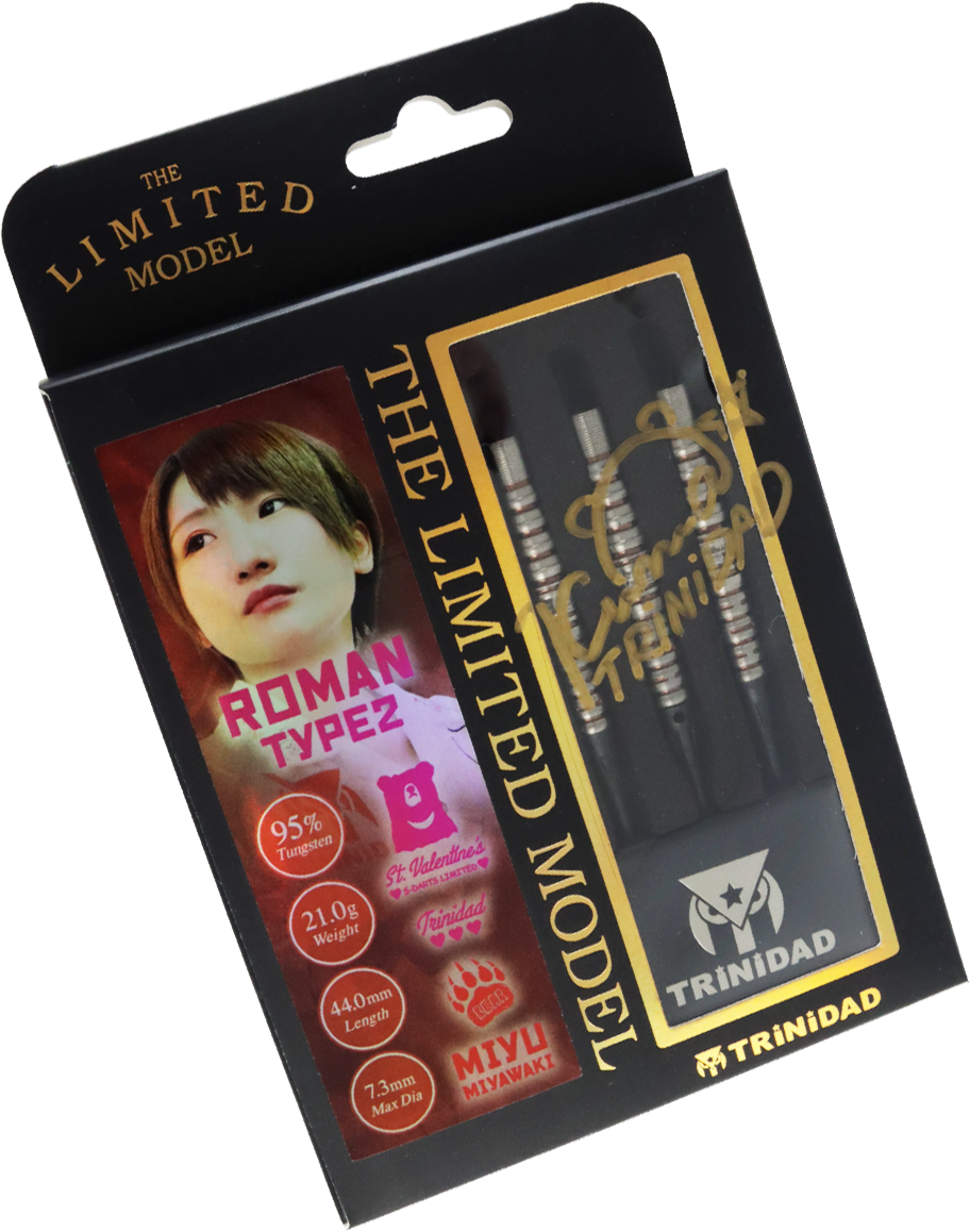 ダーツショップ エスダーツ