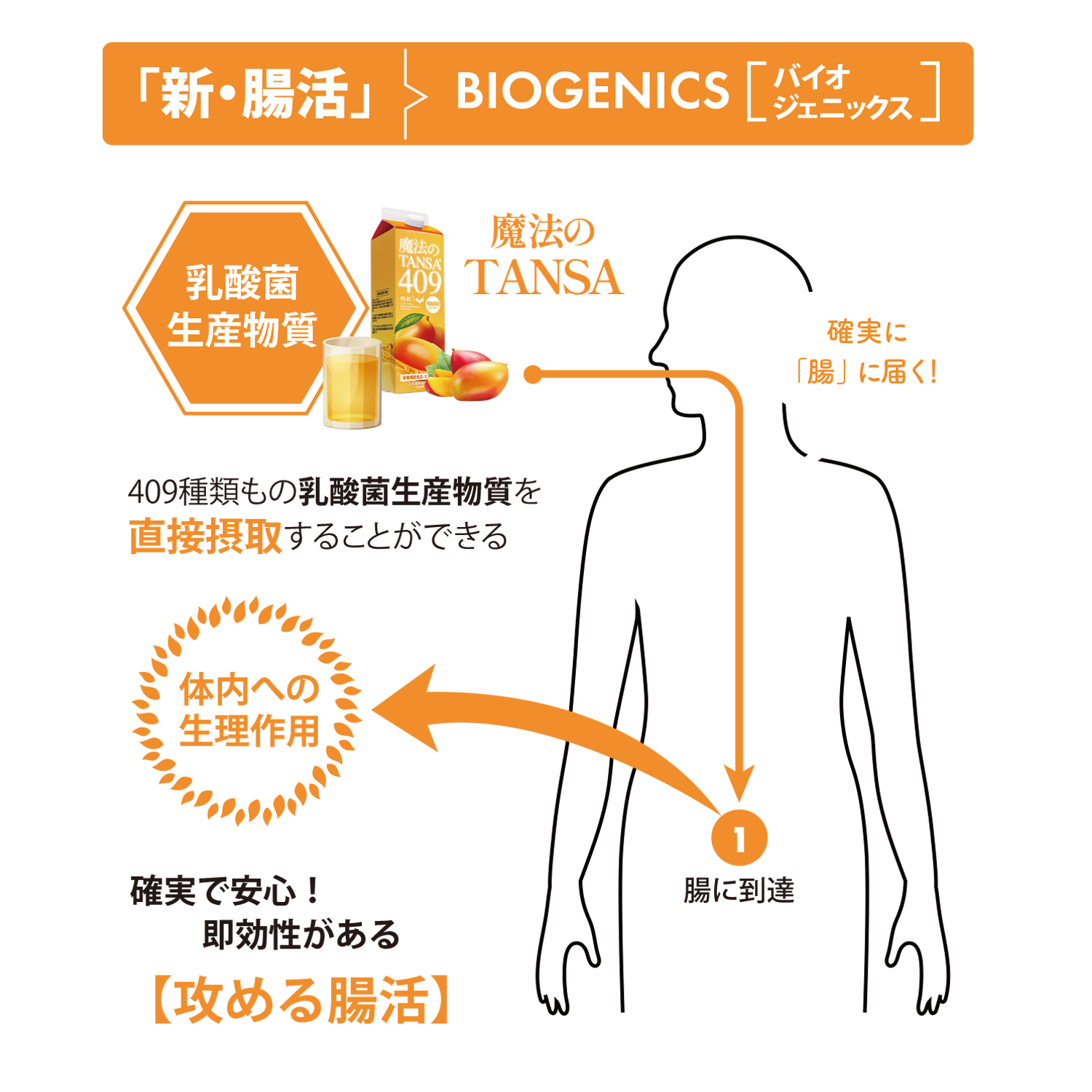 魔法のTANSA(タンサ)409｜短鎖脂肪酸配合ドリンク｜株式会社シンビシン