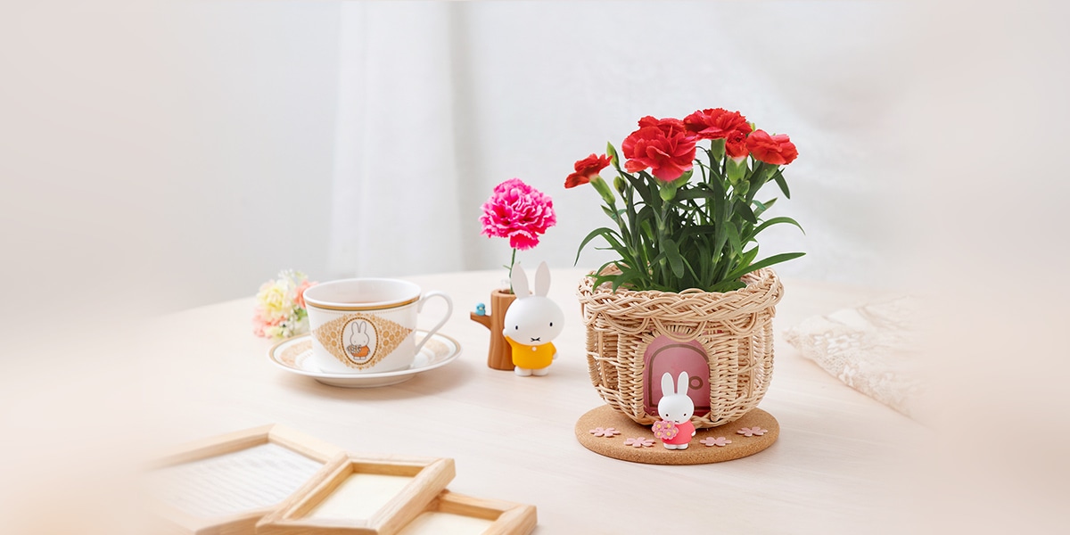 フラワーミッフィー 母の日特集2025｜ミッフィーのお花屋さん Flower Miffy