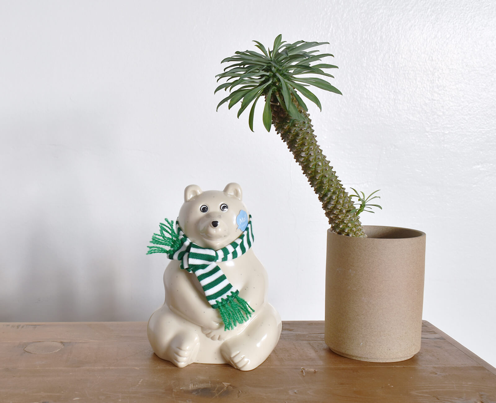 白くま貯金箱 マフラー付き2023 ｜CATAWARA（カタワラ）