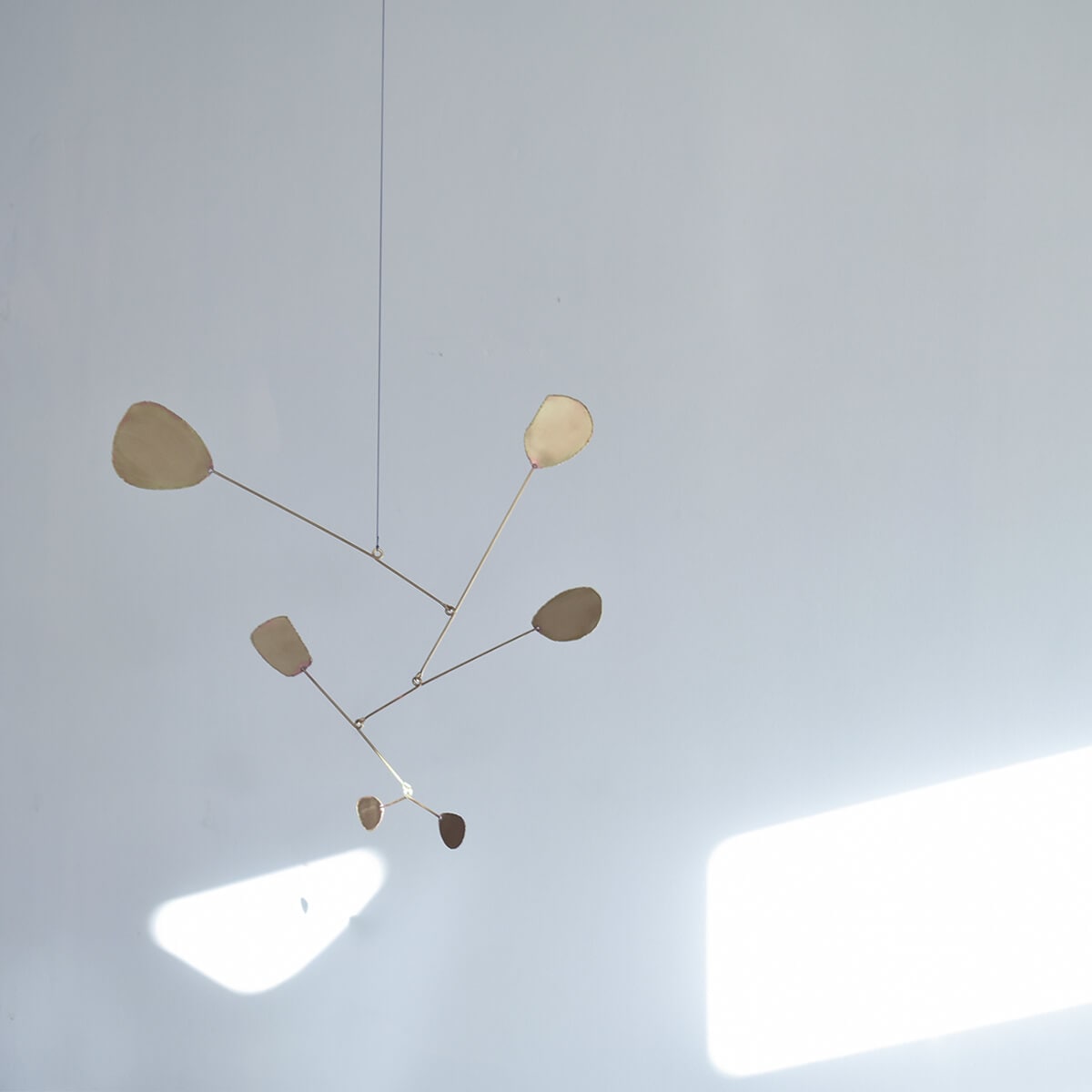 中根 嶺｜ブランドページ｜CATAWARA