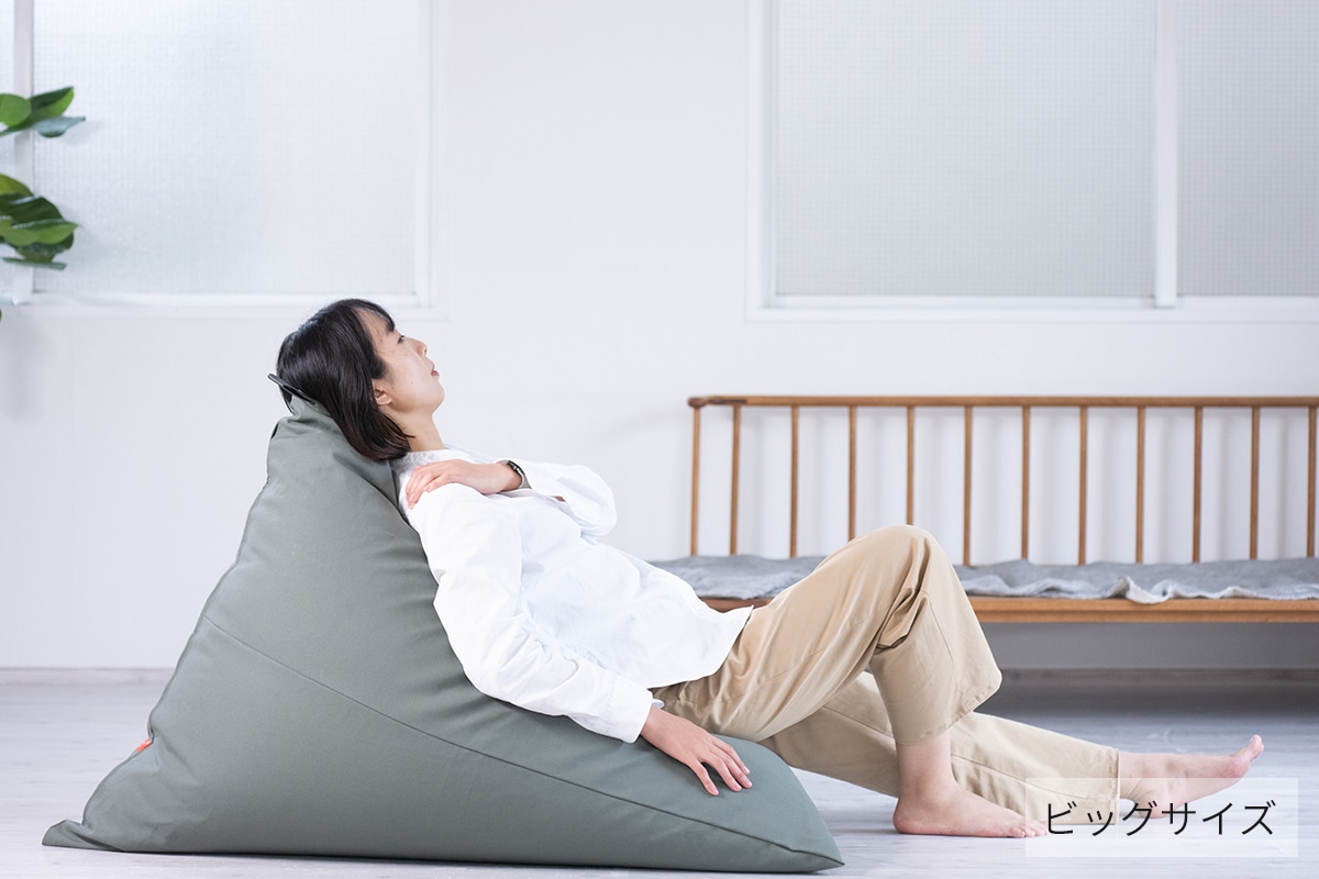 tetra 8号帆布 ビーズクッション テトラ 【ビッグサイズ】 | カテゴリ