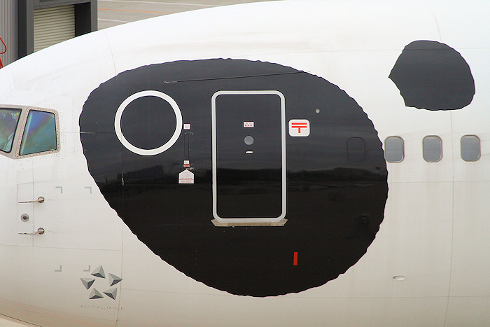 FRY! パンダ ANA（全日空） B767-300ER JA606A