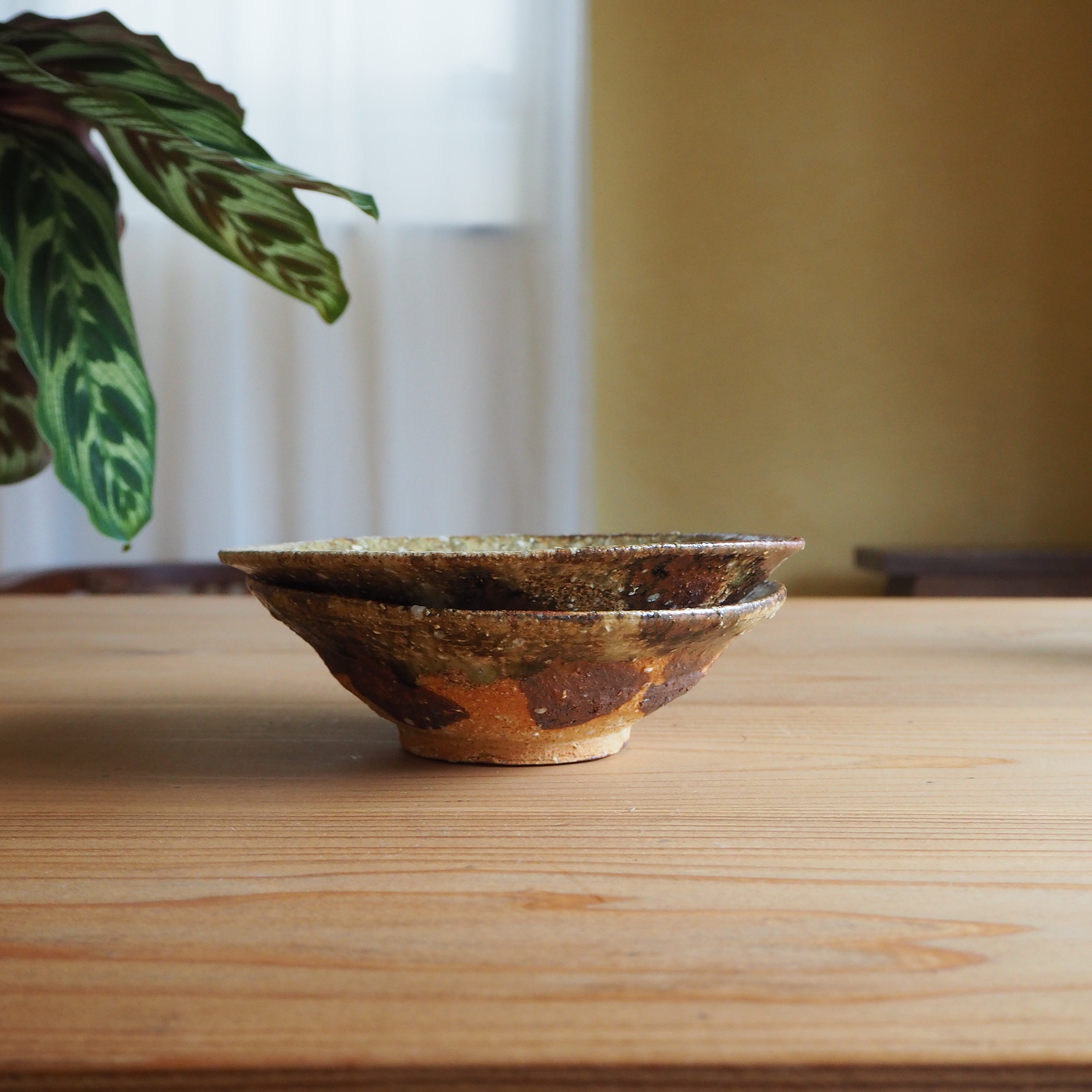 P6230799.jpg?v=1692114266&