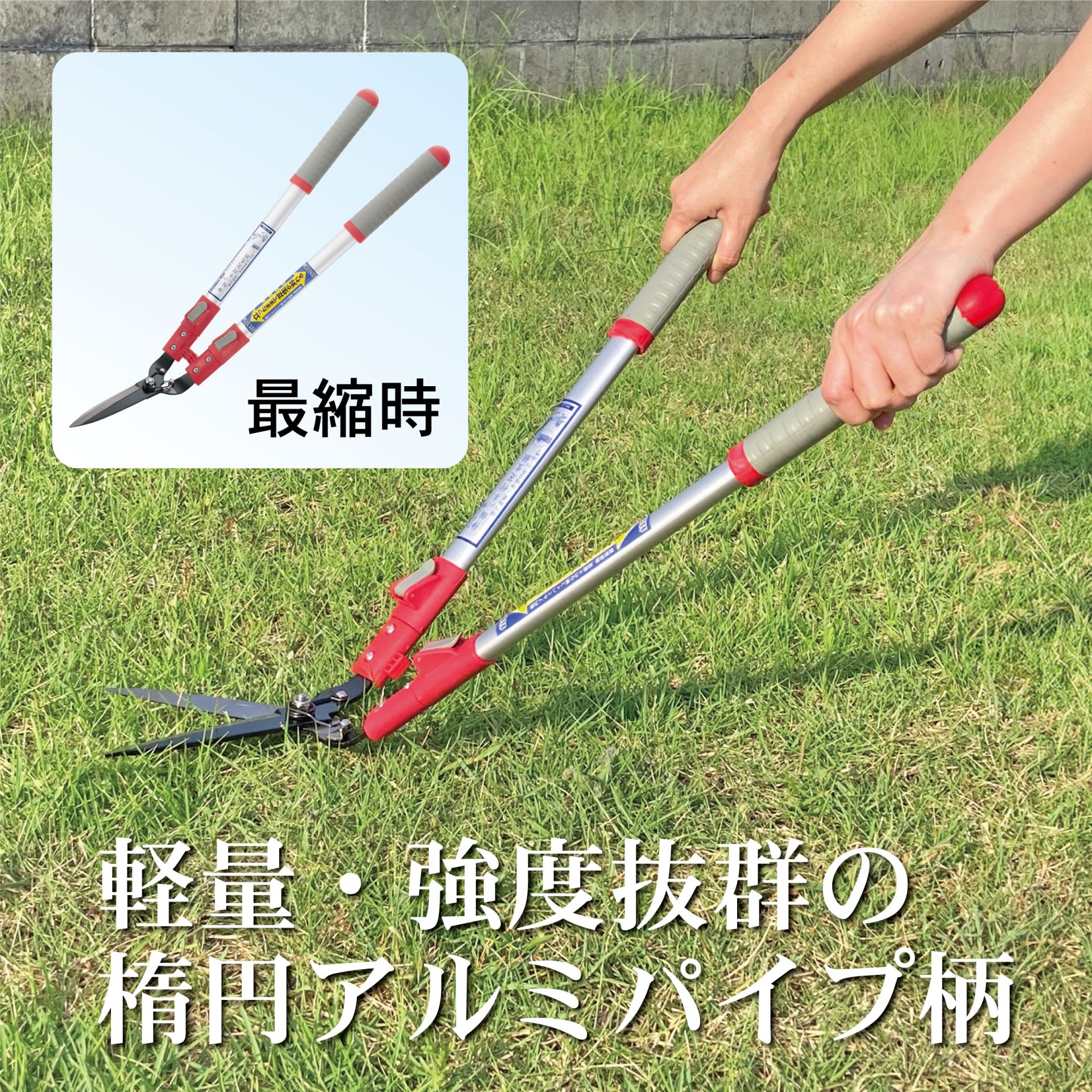 2036 - キンボシ株式会社