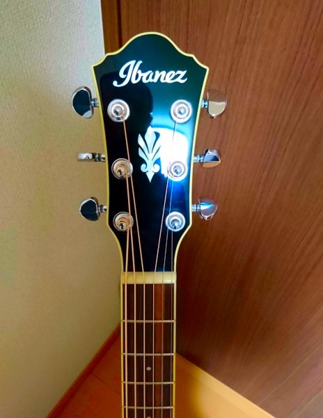新しいエレアコを買った: Ibanez AEG10-II | ゴルディアスの涙目