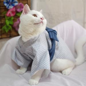 粋な男の子浴衣 | オリジナル猫服 国産 | 猫用品の専門店☆ゴロにゃん