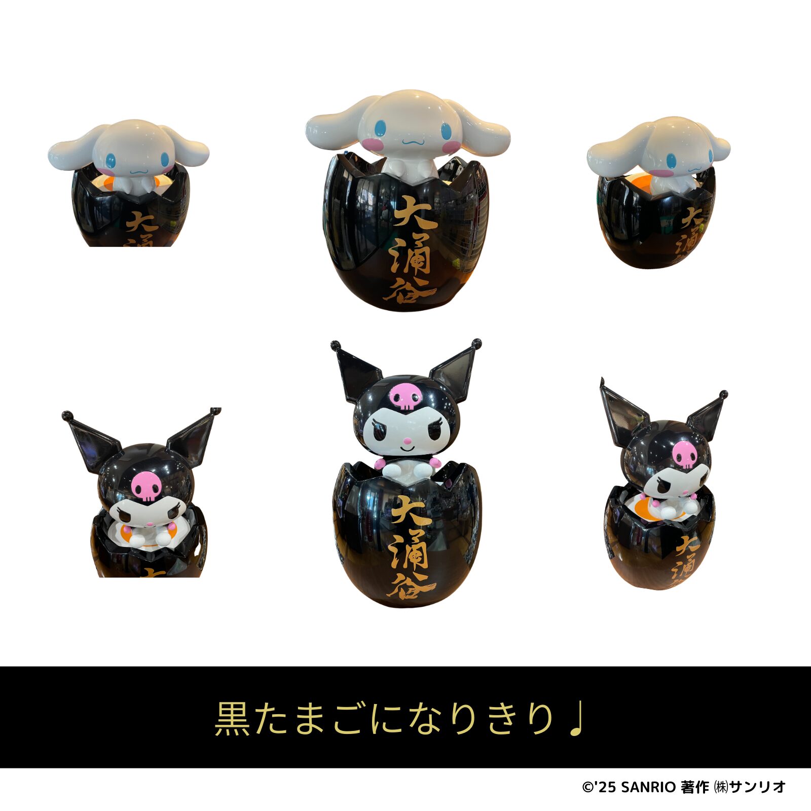 神奈川×箱根・大涌谷 | あすなろ舎