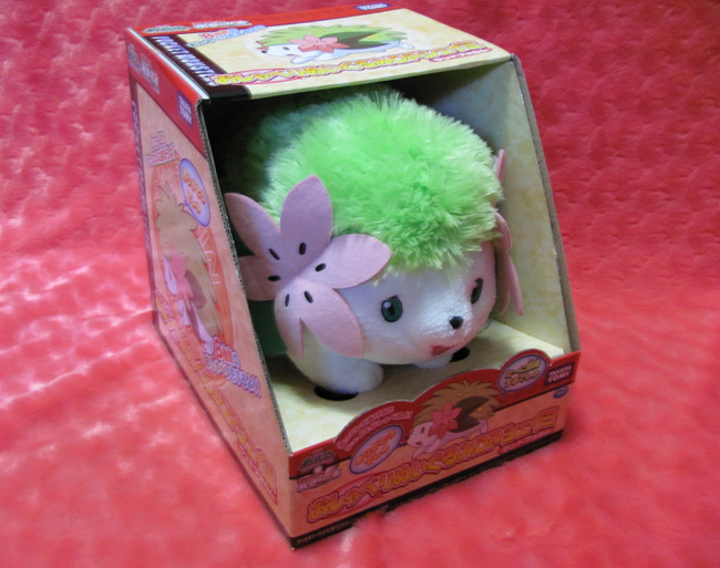 Glacidea no Hana . グラシデアの花 *~