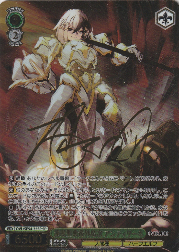 G-PROJECT 通信販売 / 【SE54】原作 オーバーロード