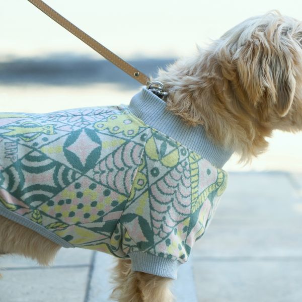 Life - minä perhonen