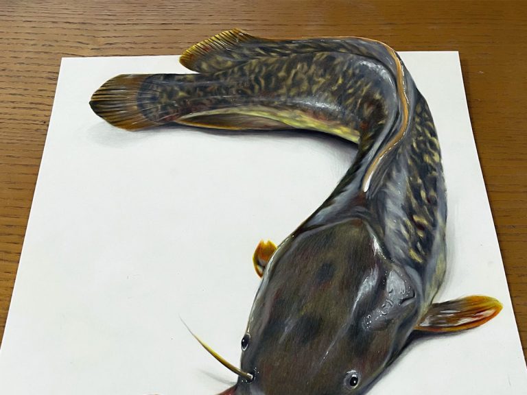 触れるのが怖くなる」 『ナマズ』が写る写真に、ネットがざわつく