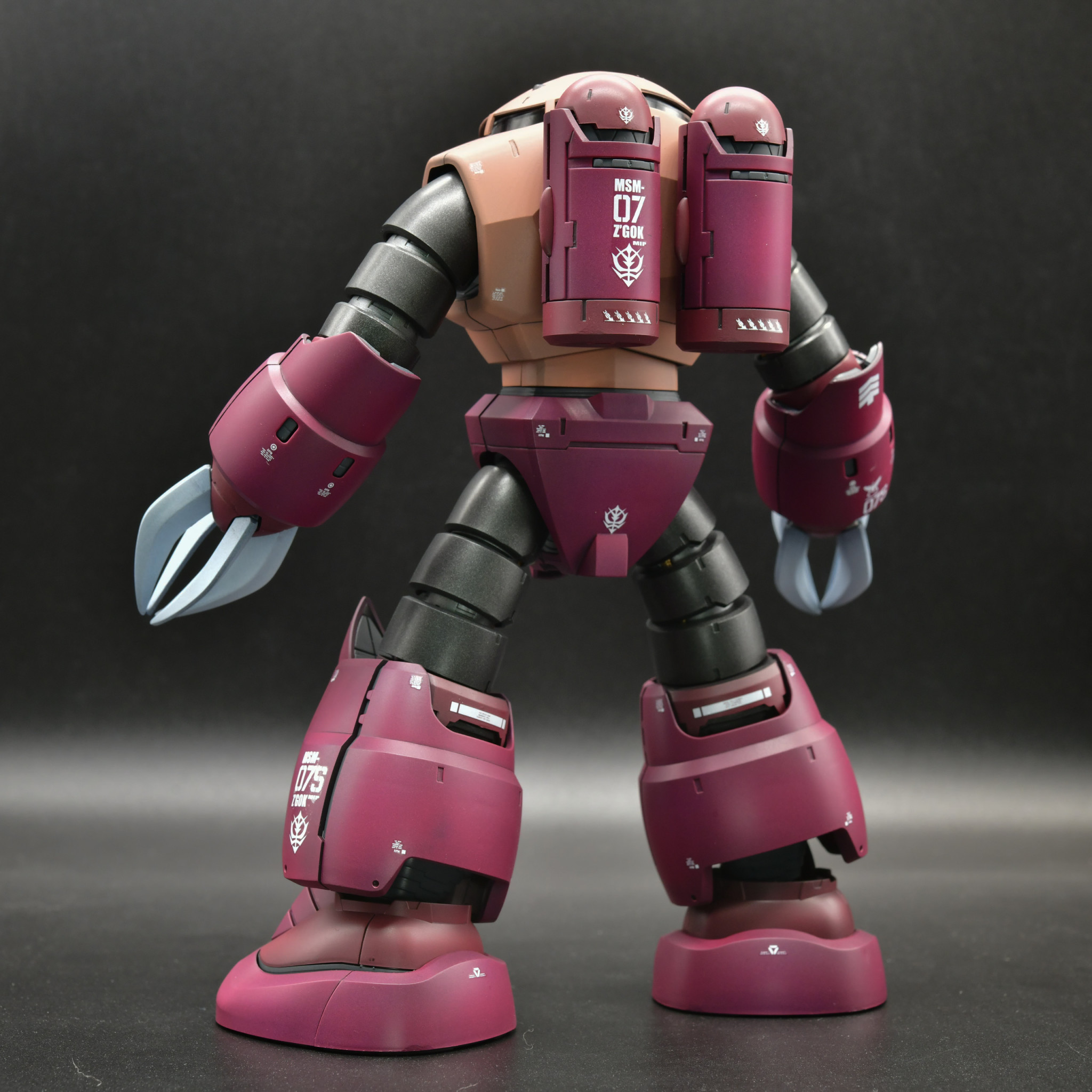 MG シャア専用ズゴック｜赤い彗星さんのガンプラ作品｜GUNSTA（ガンスタ）