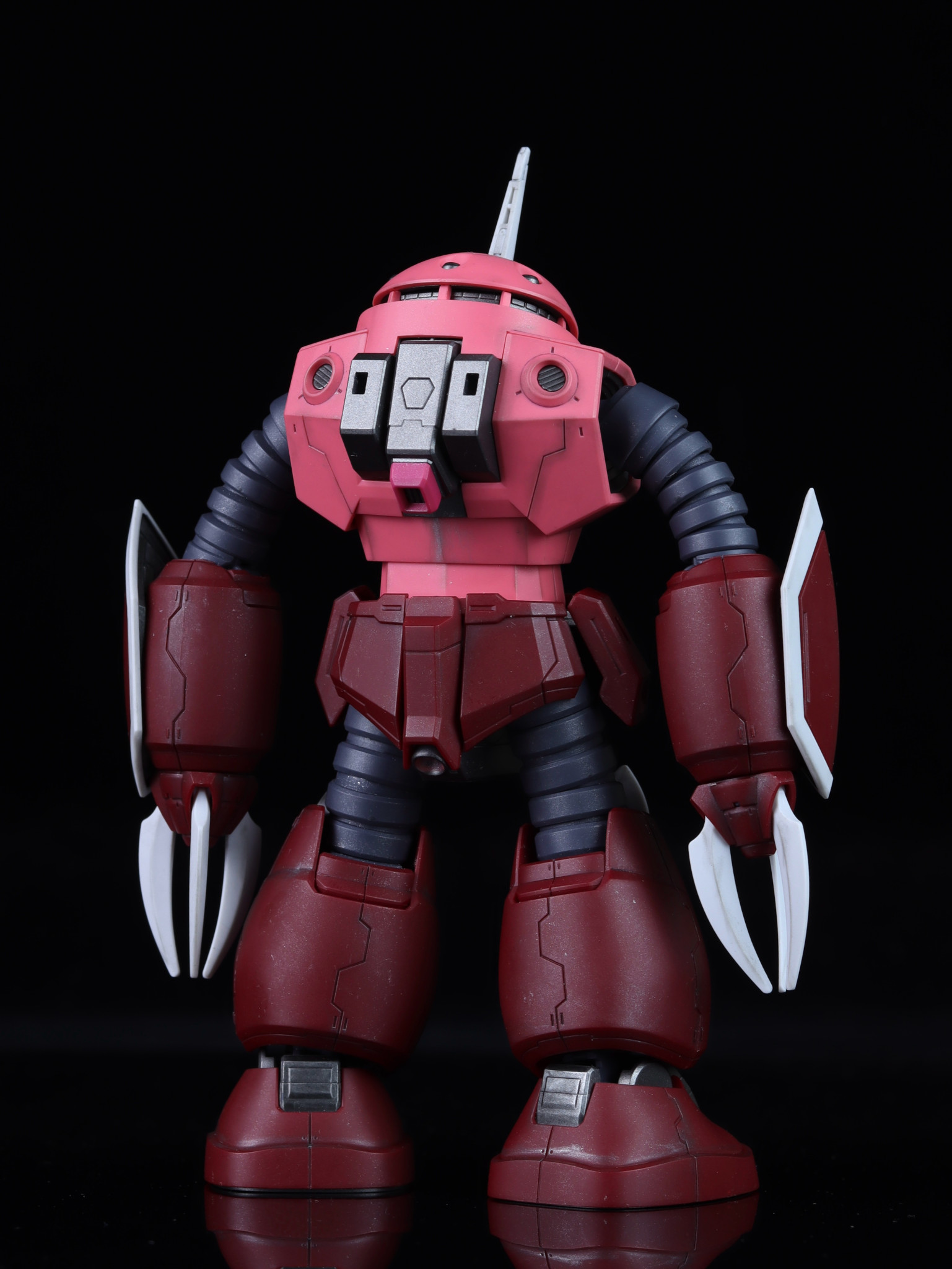 HGCE 1/144 ズゴック(SEED FREEDOM Ver.)& キャバリアーアイフリッド