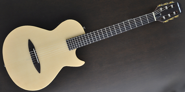 PLAYTECH EC800 | ギターのえらびかた.com