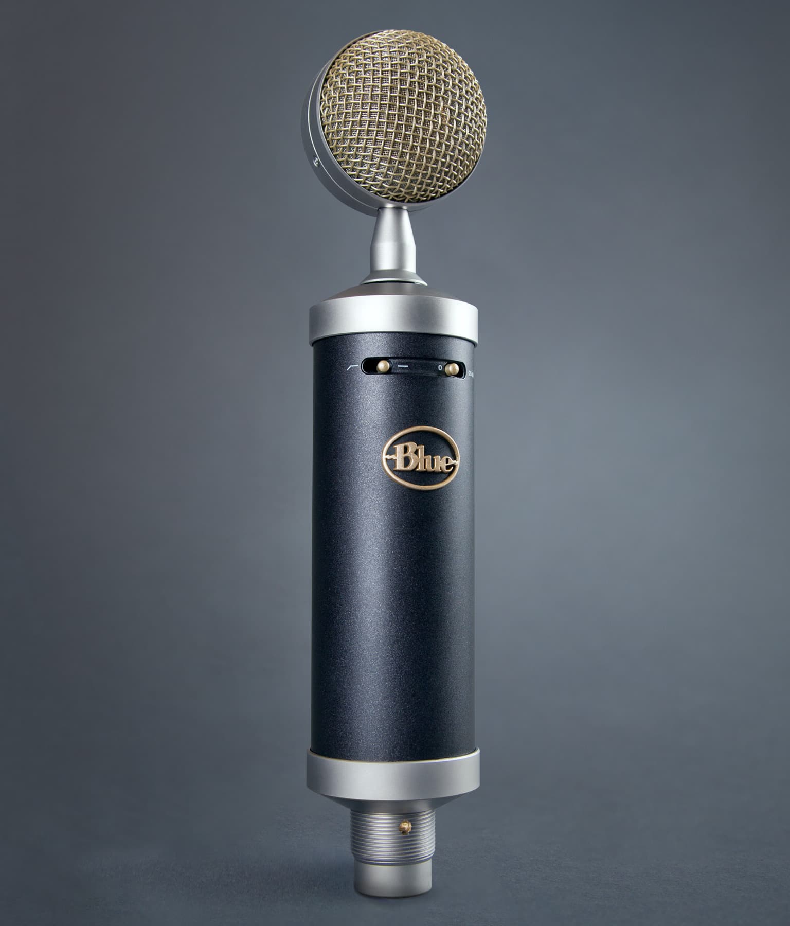 コスパ最強のコンデンサーマイク!!〜Blue Baby Bottle SL 使用レビュー