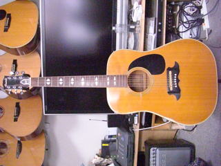 thumb W-250 埼玉県Iさん | 酒井 誠・ギタリスト Makoto Sakai