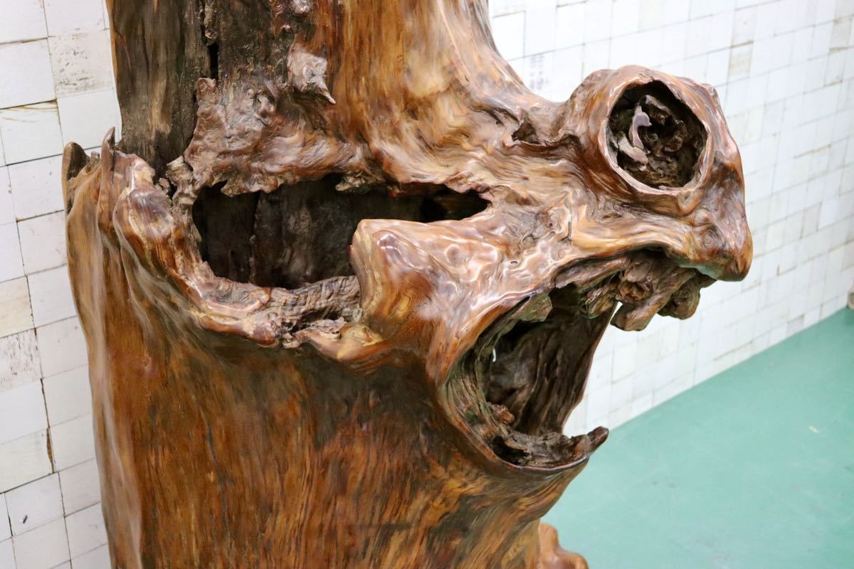 GMFS276○世界遺産屋久杉 無垢 一枚板 衝立 オブジェ 置物 玄関 和室 座敷