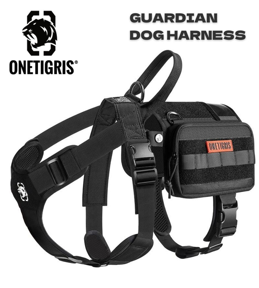 ハーネス・リード – tagged 