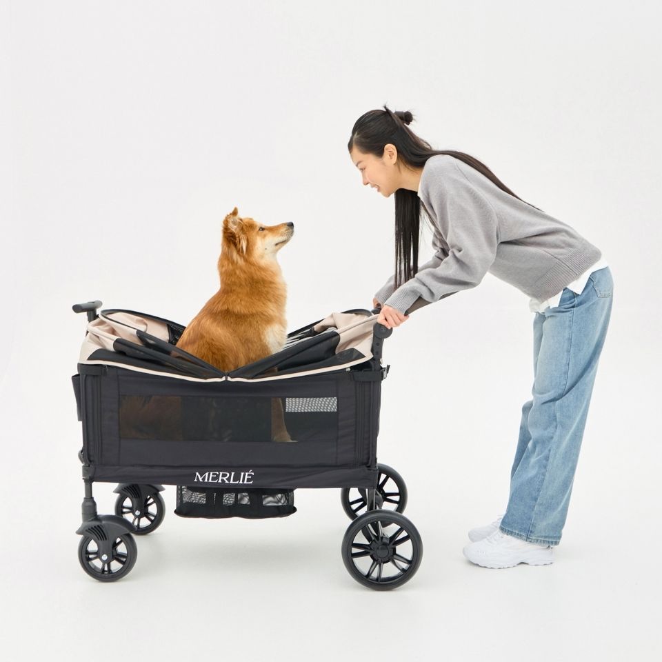 MERLIE 3WAY PET WAGON MW6 – Guppies