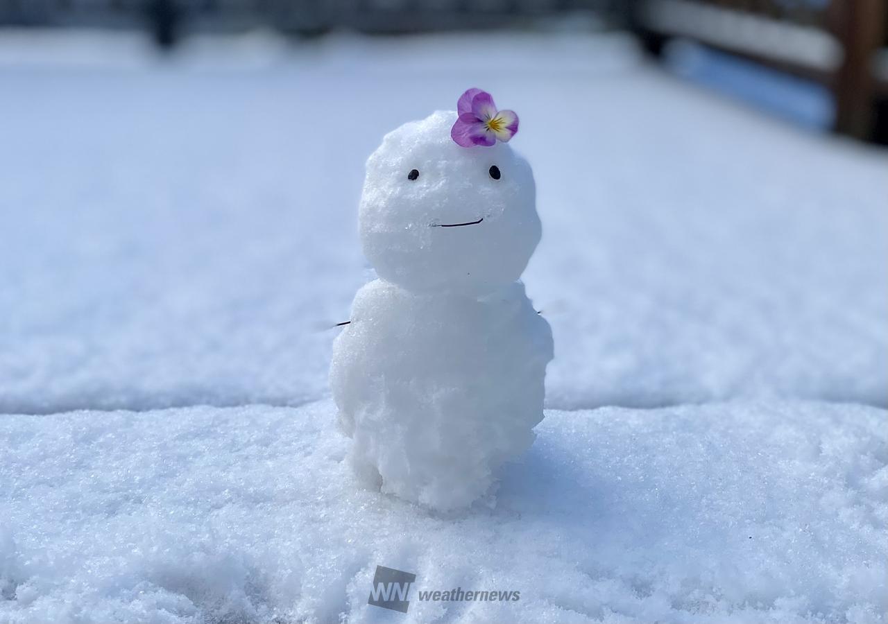⛄️雪だるまちゃん 注目の空の写真 ウェザーニュース