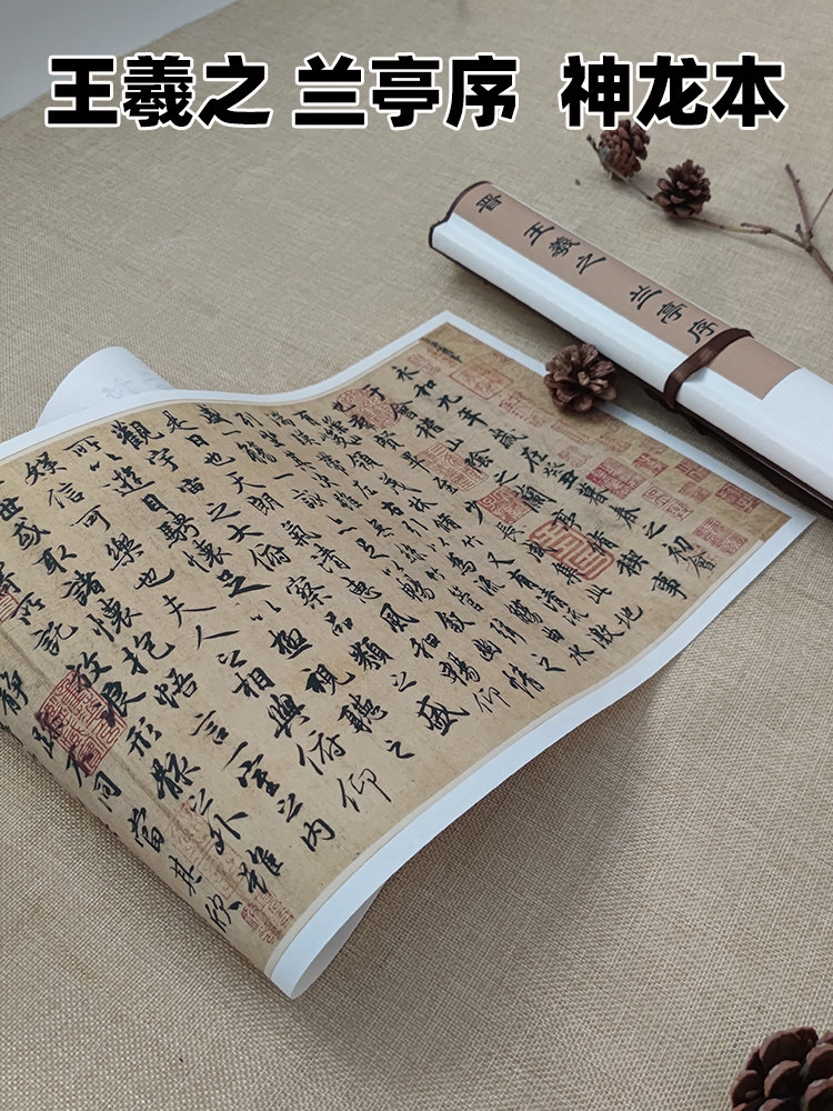 O1CN01s8Bhfr2KGnN3gJqU9_!!