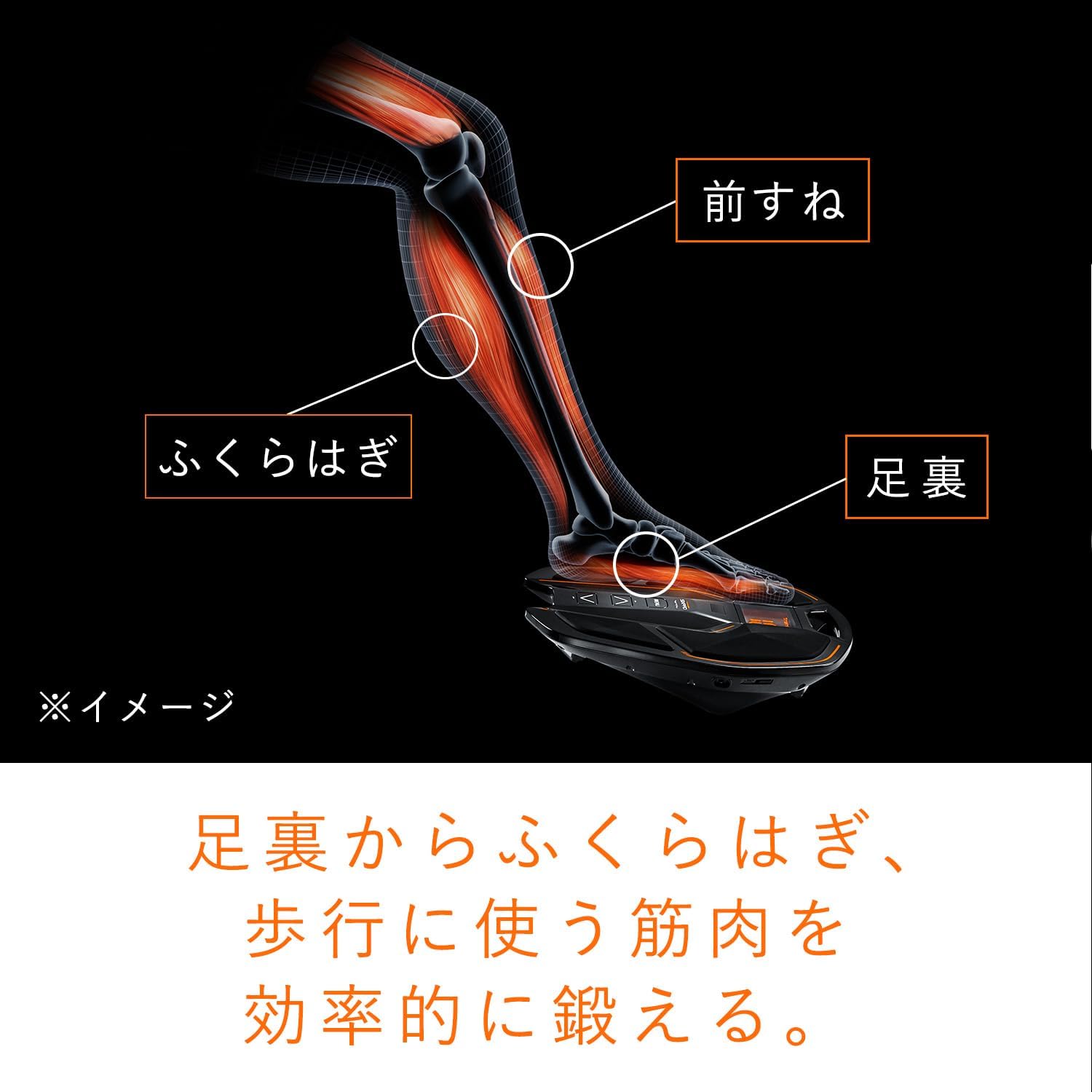 月額6,980円レンタルプラン：MTG SIXPAD シックスパッド Foot Fit 2 SP