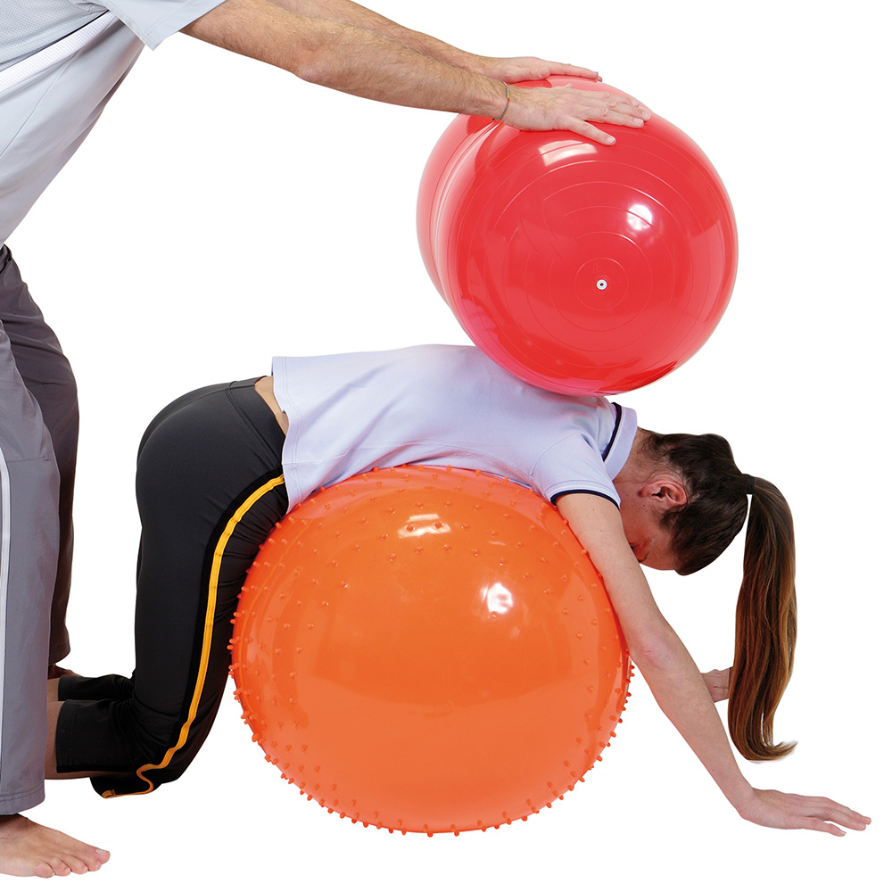 ギムニク｜ギムニクショップ公式サイト / GymnicPhysioRoll フィジオ