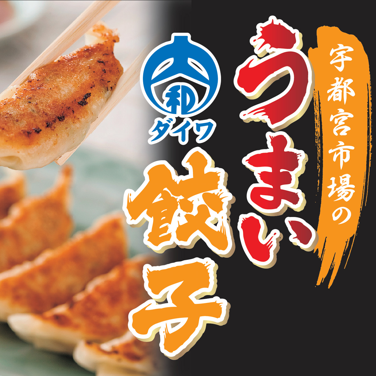 うまい大和餃子 22g×24個入り ／ 宇都宮の餃子の通販情報 - 業務用
