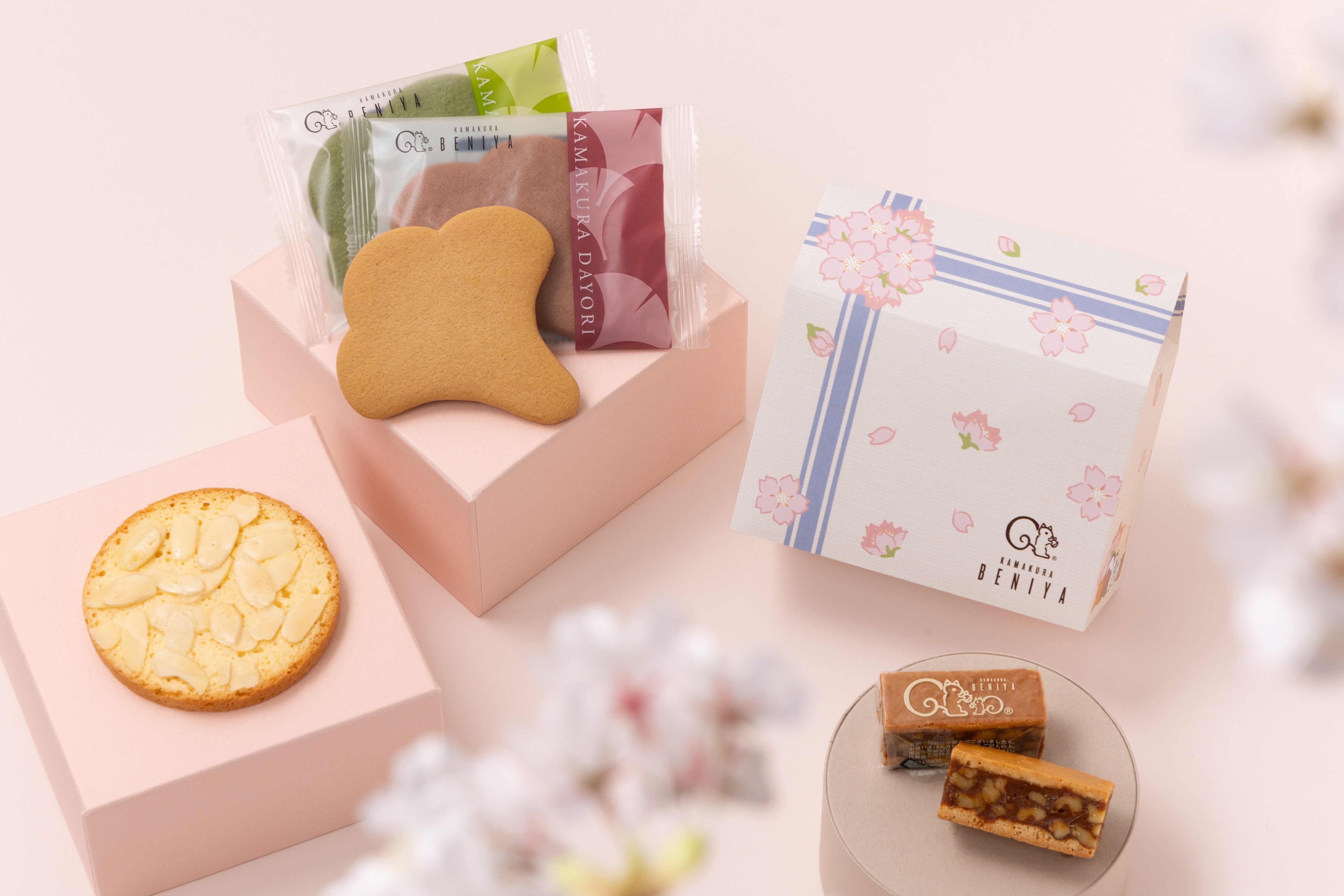 2/20～「詰合せ01 ハウス型BOX（2026春）」期間限定販売❀ | 鎌倉紅谷