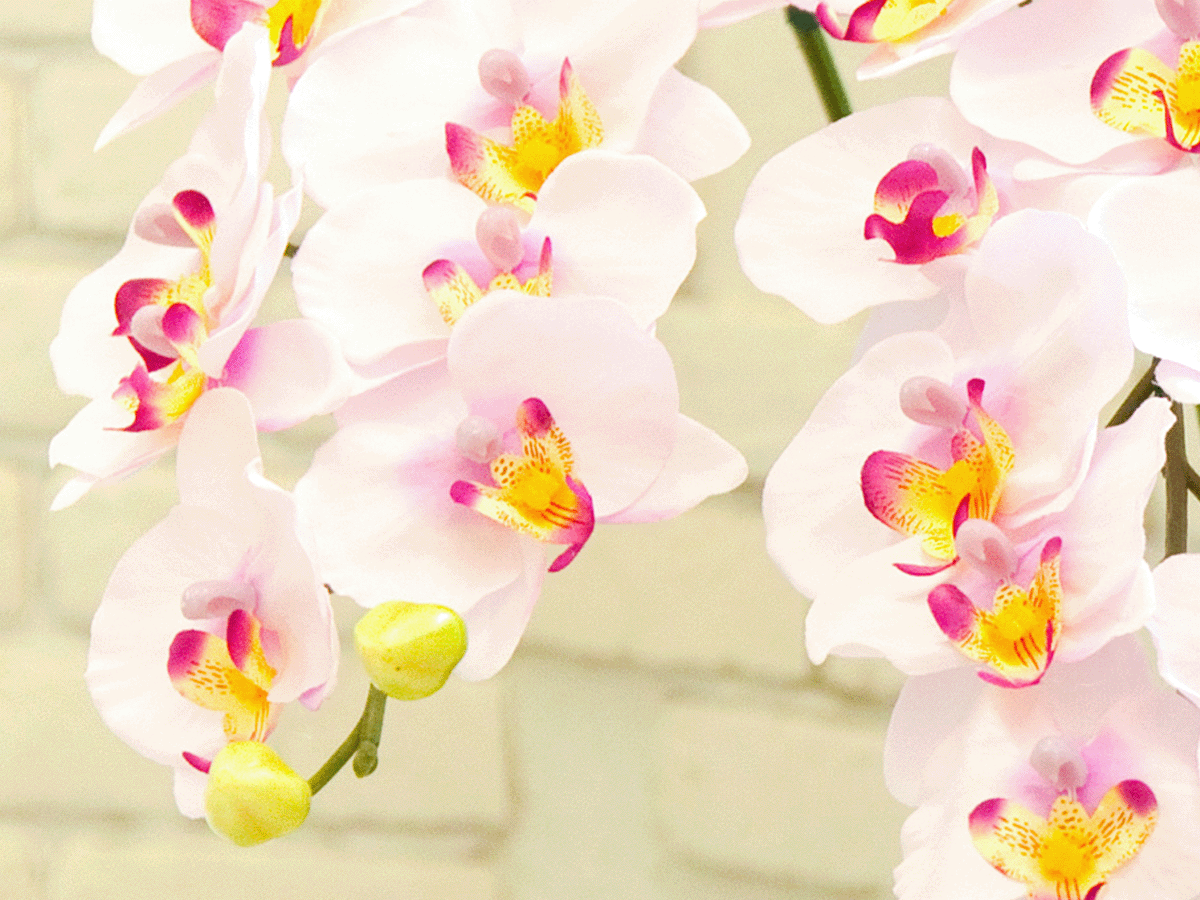 光触媒を使ったアーティフィシャルフラワー（造花）アレンジ | メリエンダ